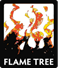 flame tree